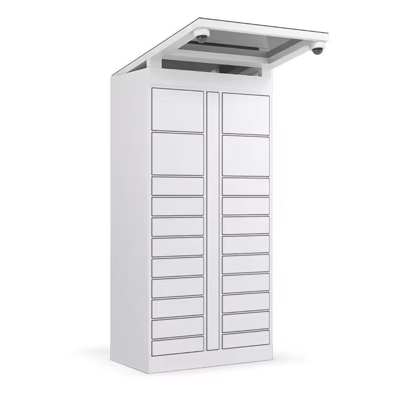 # Casillero Inteligente para A - Locker Storage Metal reseña y precio