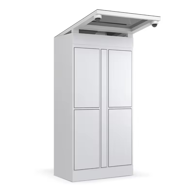 # Casillero Inteligente para A - Locker Storage Metal reseña y precio